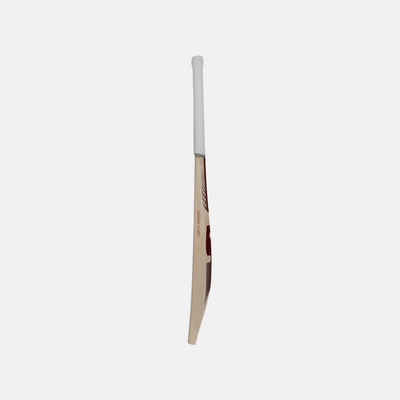 SG Century Classic English Willow Cricket Bat – SH
