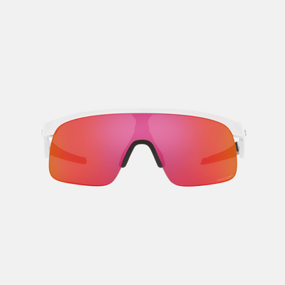 Oakley Resistor Polished White Prizm Field