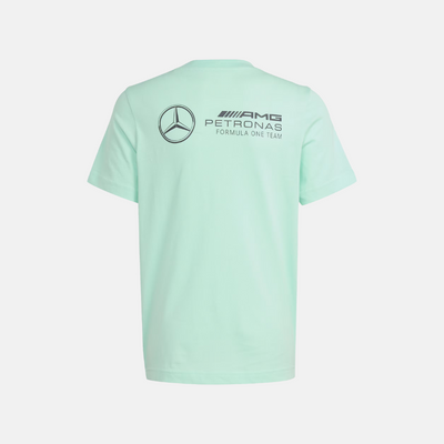 Adidas Mercedes-AMG Petronas F1 Premium Woven Graphic Tee Juniors - Frozen Green / Grey Strata