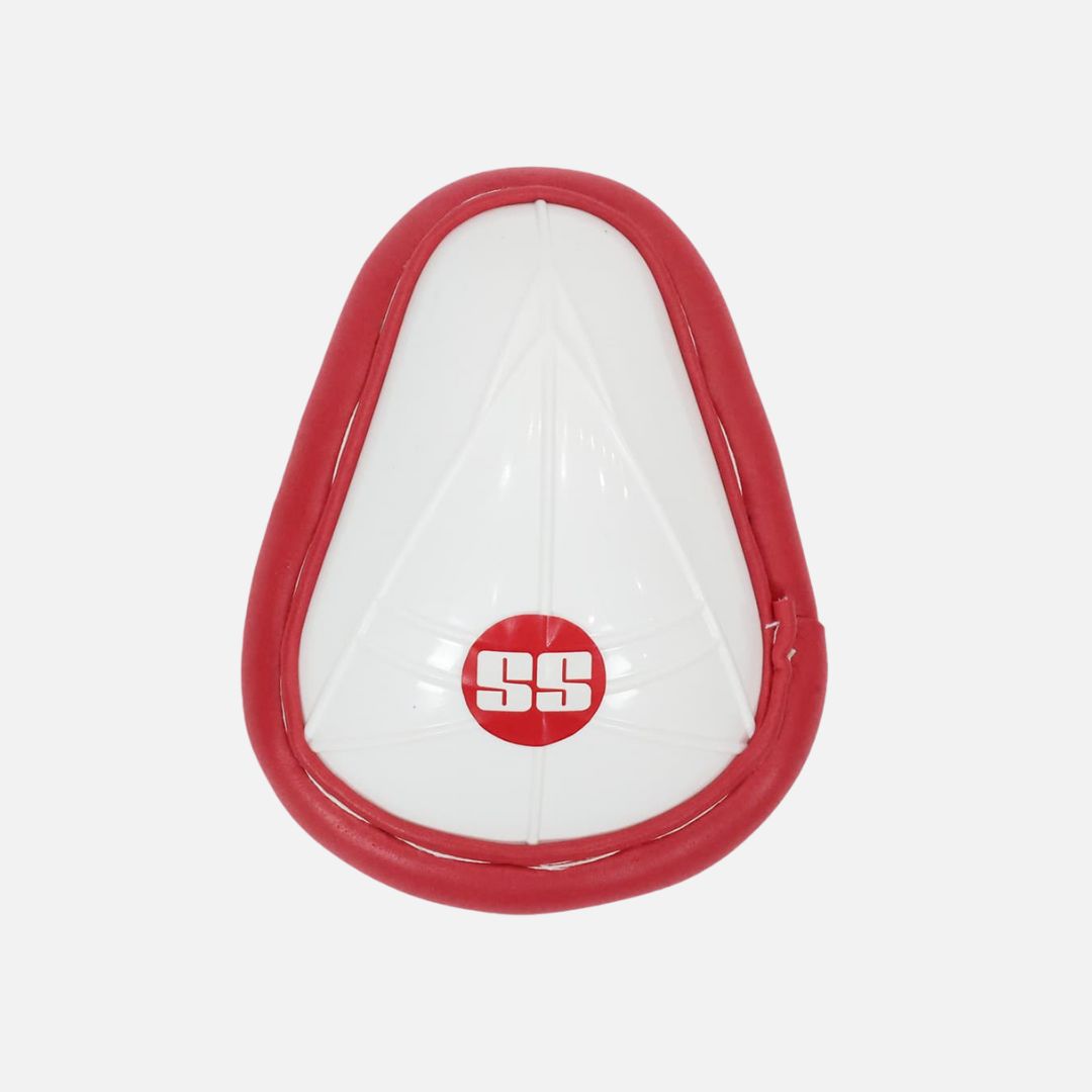 SS Vaibhav Sooryavanshi Kashmir Willow Cricket Kit