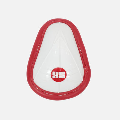 SS Vaibhav Sooryavanshi Kashmir Willow Cricket Kit