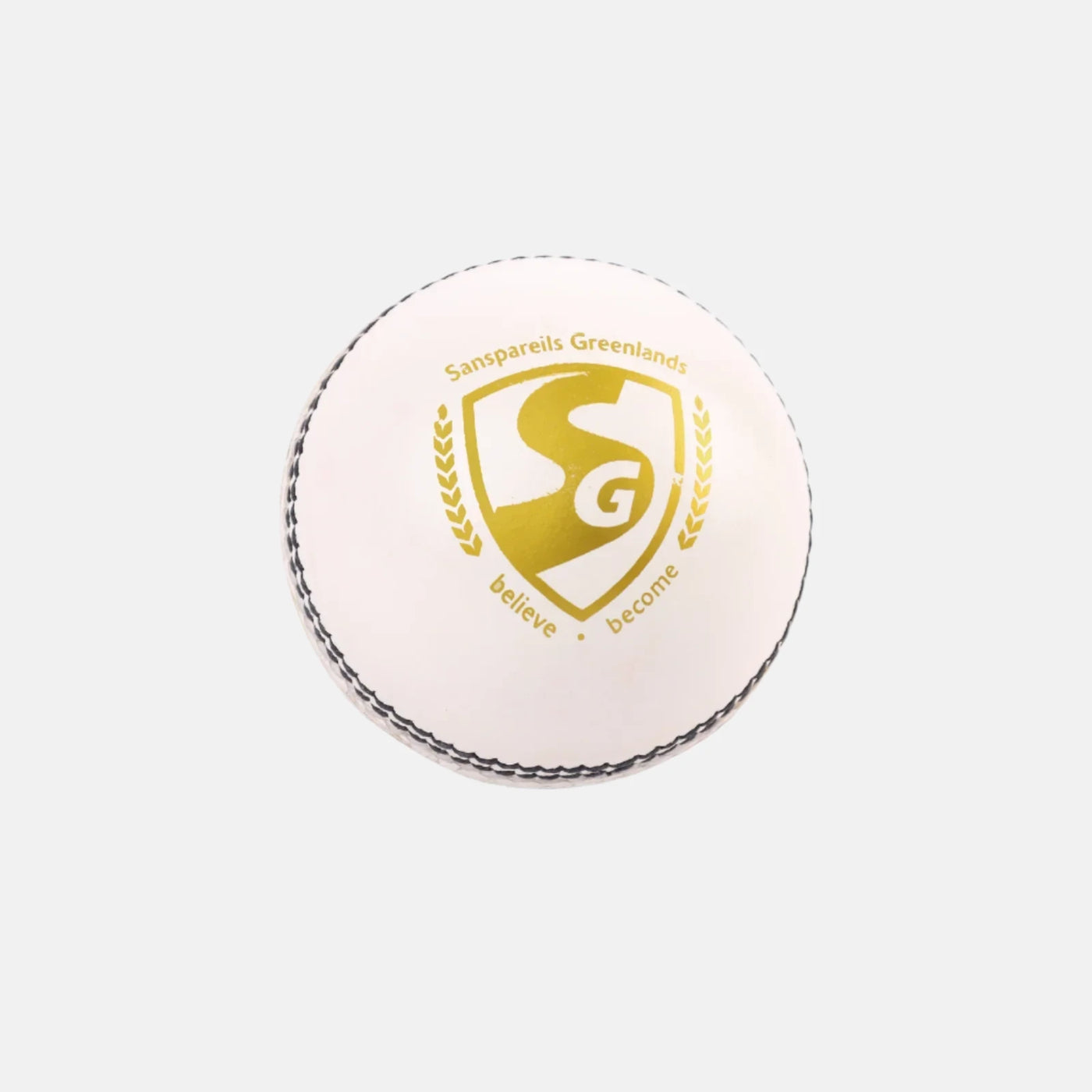 SG Shield 20 White Cricket Leather Ball