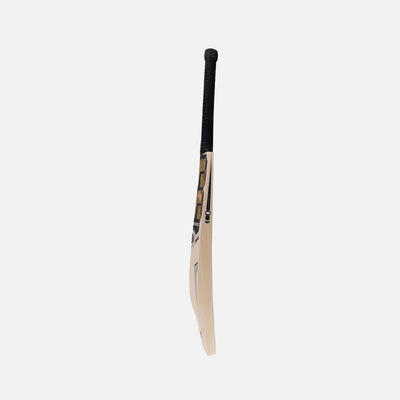 SS Premium Gold Kashmir Willow Cricket Bat -SH