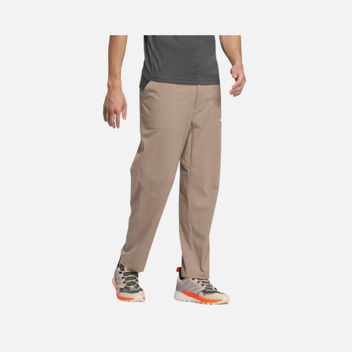 Adidas Terrex Men's Pant -Chalky Brown