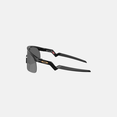Oakley Resistor – Black / Prizm Black