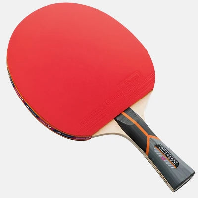 Butterfly Stayer 3000 Table Tennis Racket  With 2 TT Balls