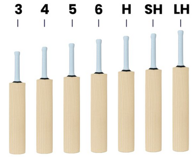 SS Master 99 English Willow Cricket Bat