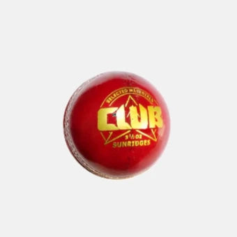 SS Gutsy Alum Tanned Cricket Ball Four-Piece